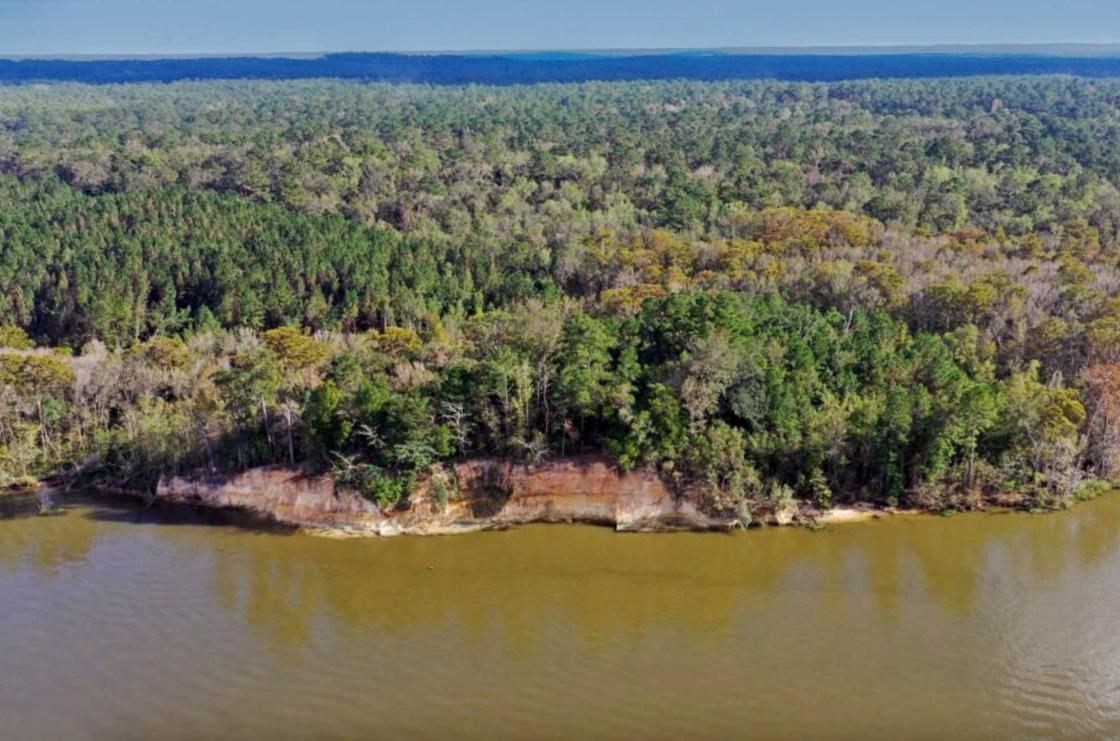 Rising above the Tensaw River, the Blakeley Bluffs provide an exceptional example of the intersection between historical and environmental conservation.
