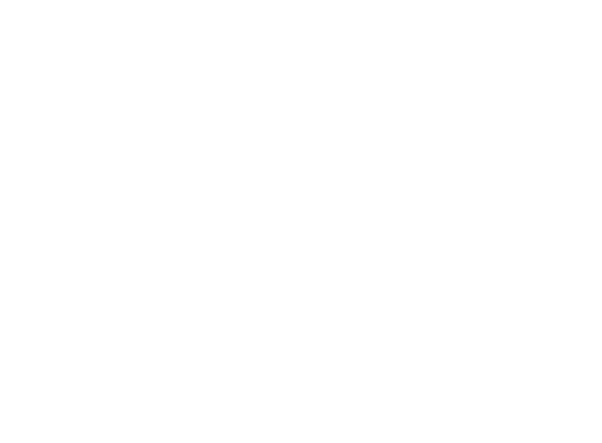 Icon representation of a trunk