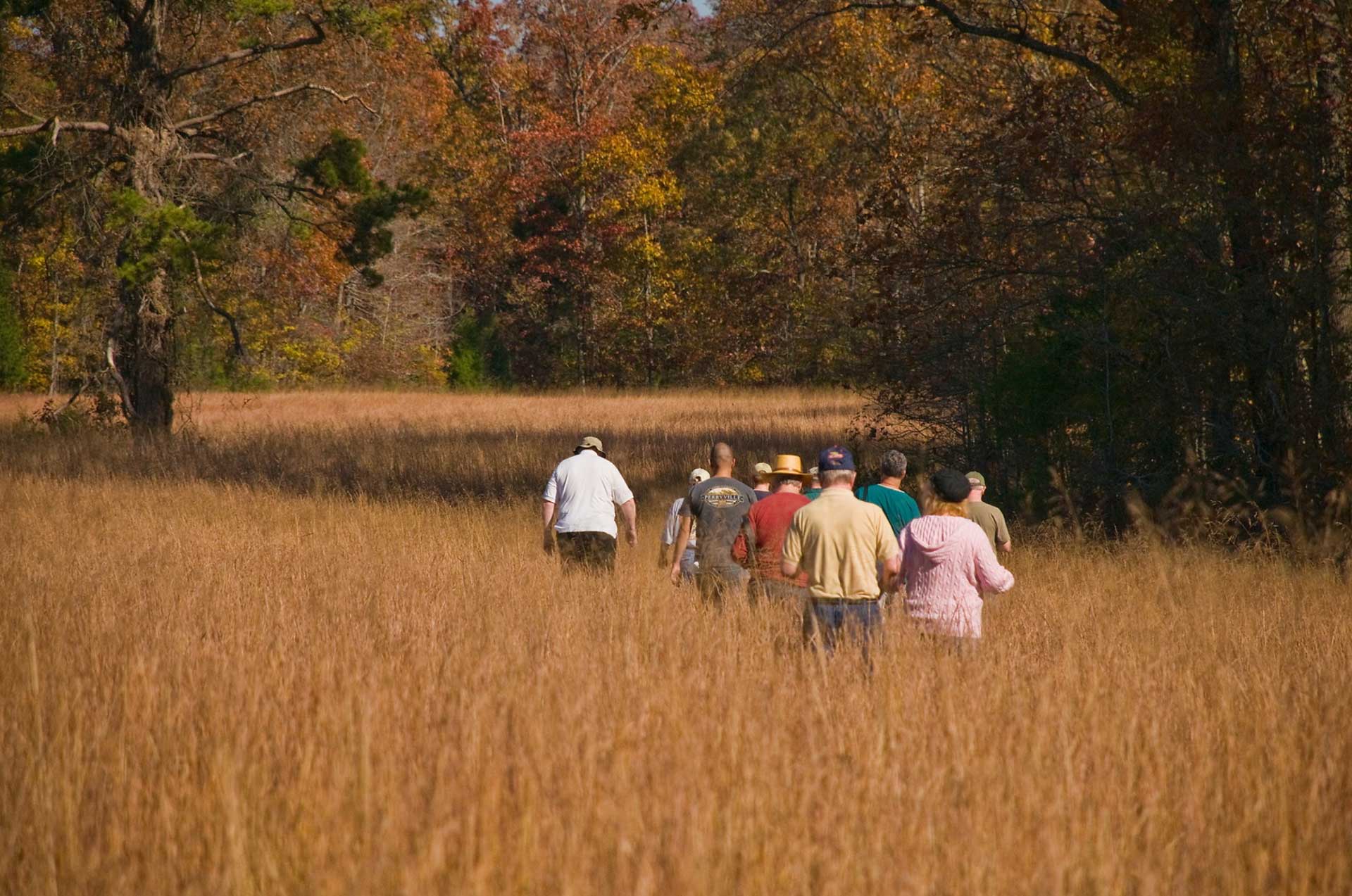 Tour at Shiloh Battlefield