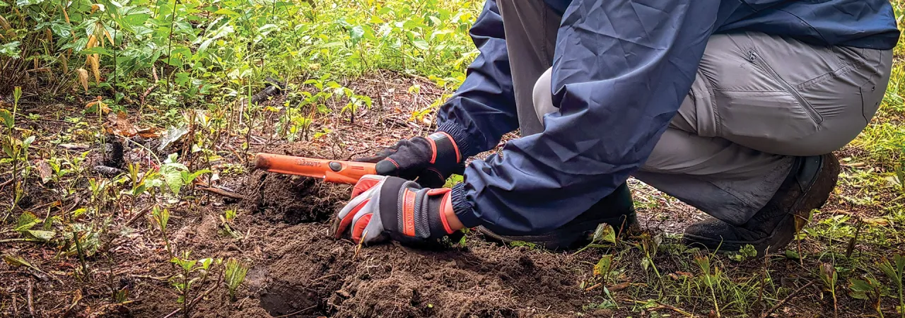 An AVAR crew member searching the“Bloody Angle” at Elm Brook Hill