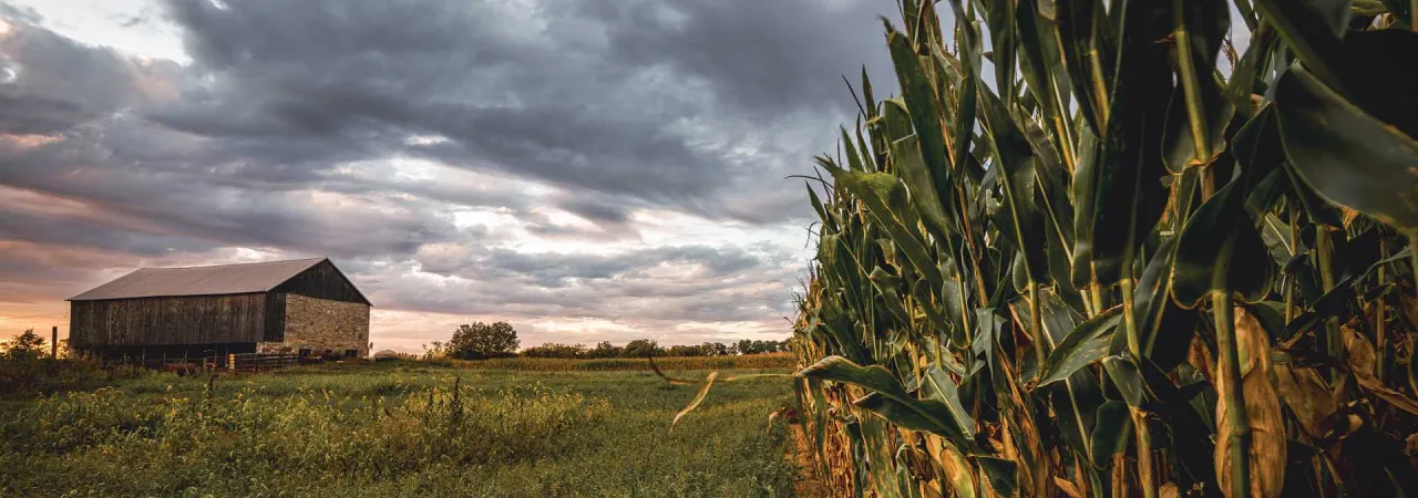 Reel Farm, Antietam Battlefield, Sharpsburg, Md.