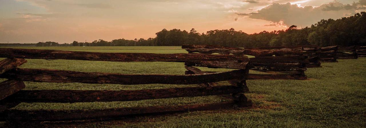 Averasboro Battlefield and Museum, Dunn, N.C.