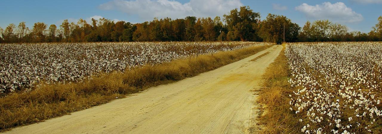 Bentonville Battlefield State Historic Site, Johnson County, S.C.