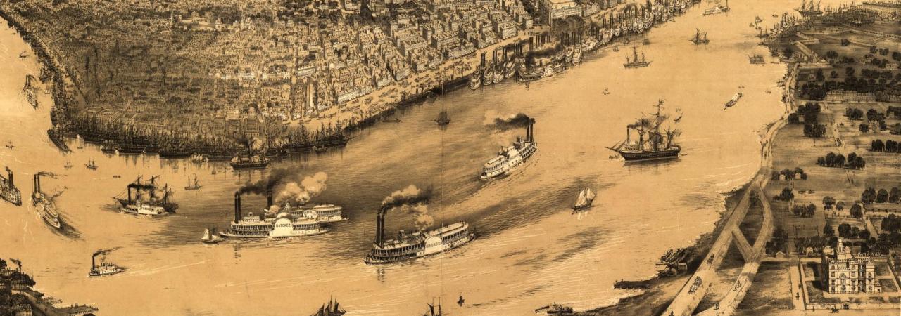 Birds' eye view of New-Orleans drawn from nature on stone by J. Bachman