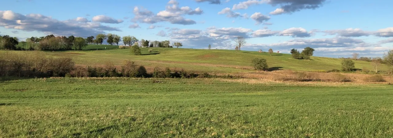 Brandy Station, Culpeper County, Va.