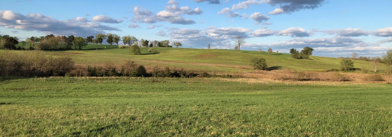 Brandy Station, Culpeper County, Va.