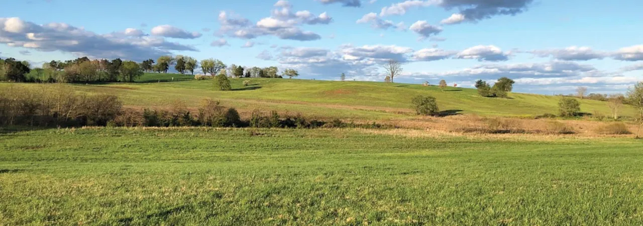 Fleetwood Hill, the scene of some of the fiercest fighting during the Battle of Brandy Station.