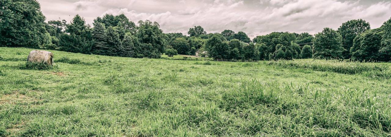 Brandywine (Dilworth Farm) by Robert James