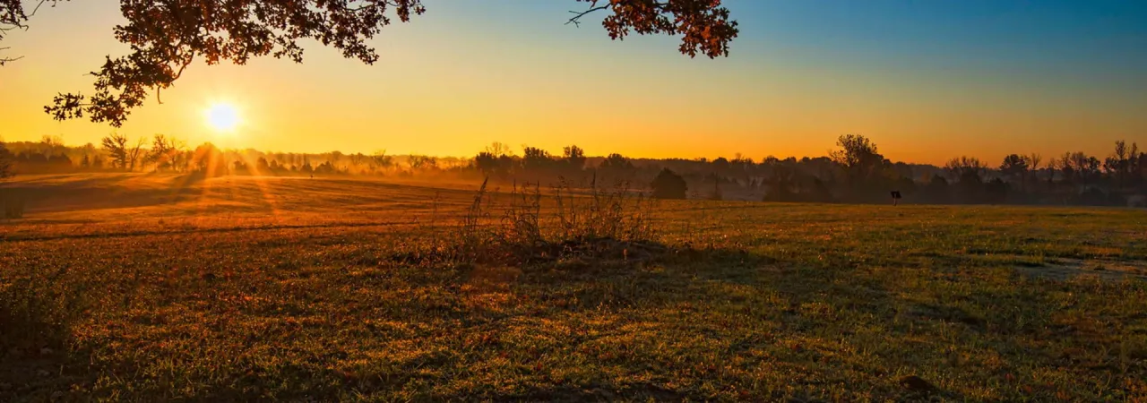 Brices Cross Roads National Battlefield, Lee County, Miss.