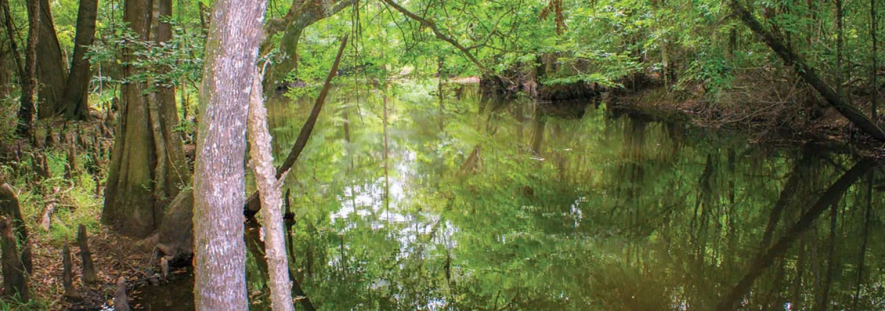 Brier Creek Revolutionary War Battlefield Memorial, Sylvania, Ga.