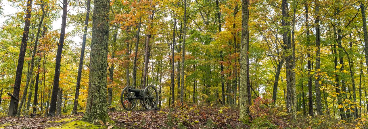 Photograph of Camp Wildcat battlefield atop Hossier Knob