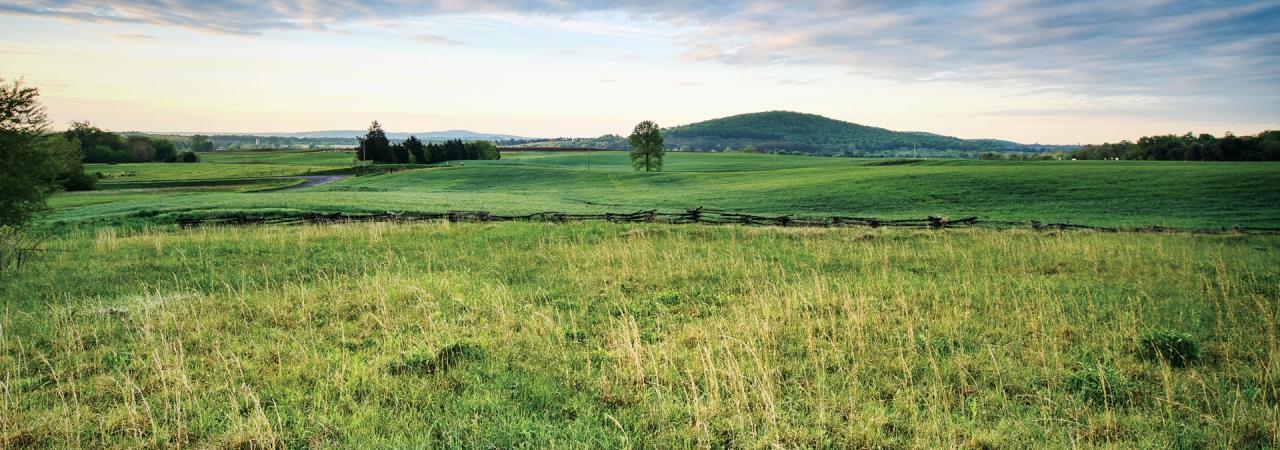 Cedar Mountain Battlefield, Culpeper County, Va.