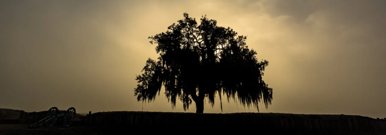 Chalmette Battlefield, La.