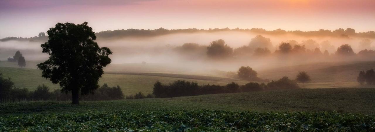 A foggy sunrise at Jackson's Flank Attack at Chancellorsville Battlefield