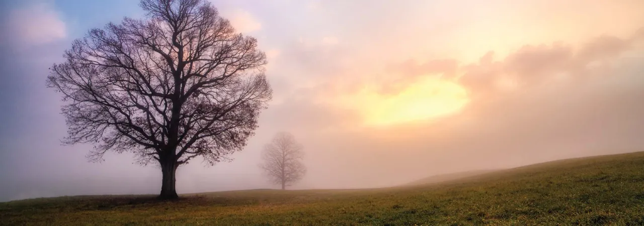 Jackson's Flank Attack happened here at Chancellorsville Battlefield in Spotsylvania Courthouse, Va.