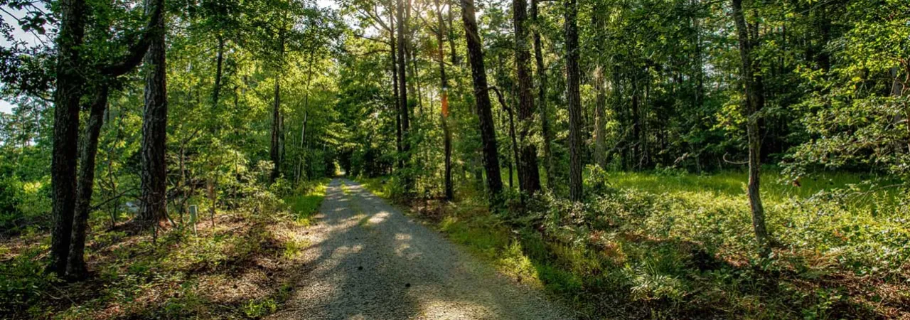 New Market Heights Battlefield, Henrico County, Va.