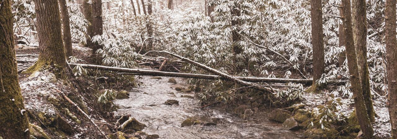 Photograph of Cumberland Gap in winter.
