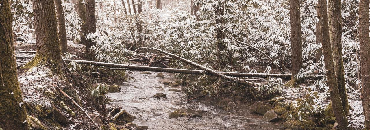 Photograph of Cumberland Gap in winter. 