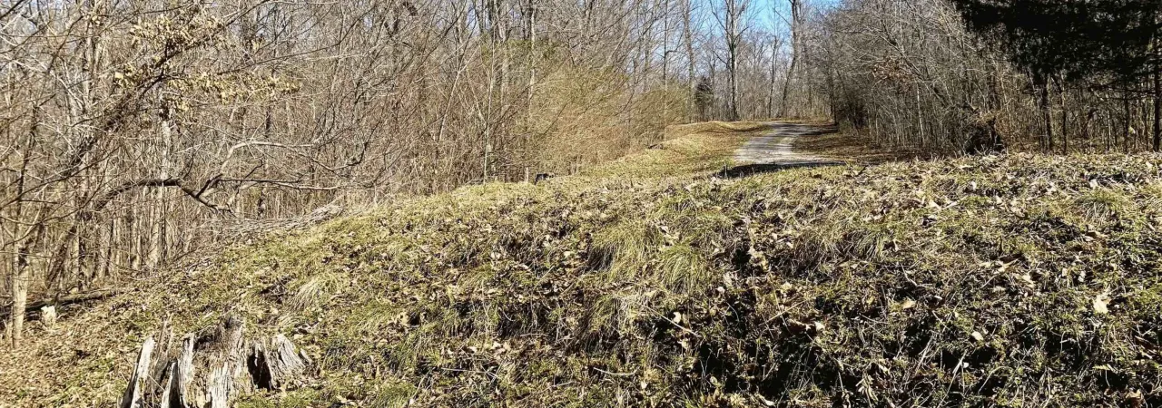 Fort Heiman Earthworks