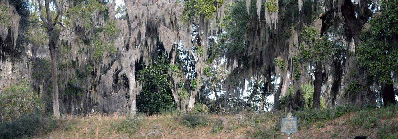Fort Morris in Midway, GA