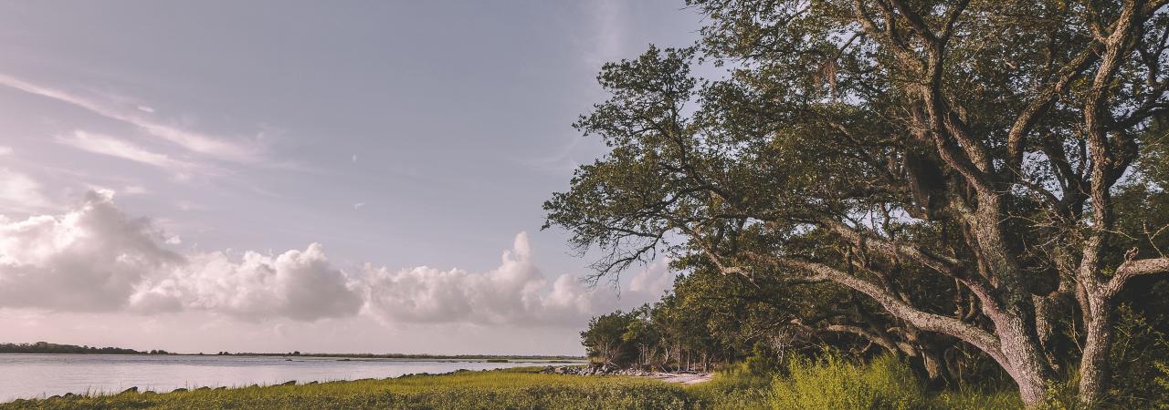 The Remnants of Fort Johnson