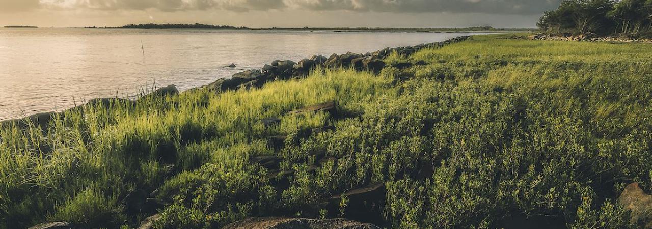 Fort Johnson, Charleston, S.C. | MATT BRANT