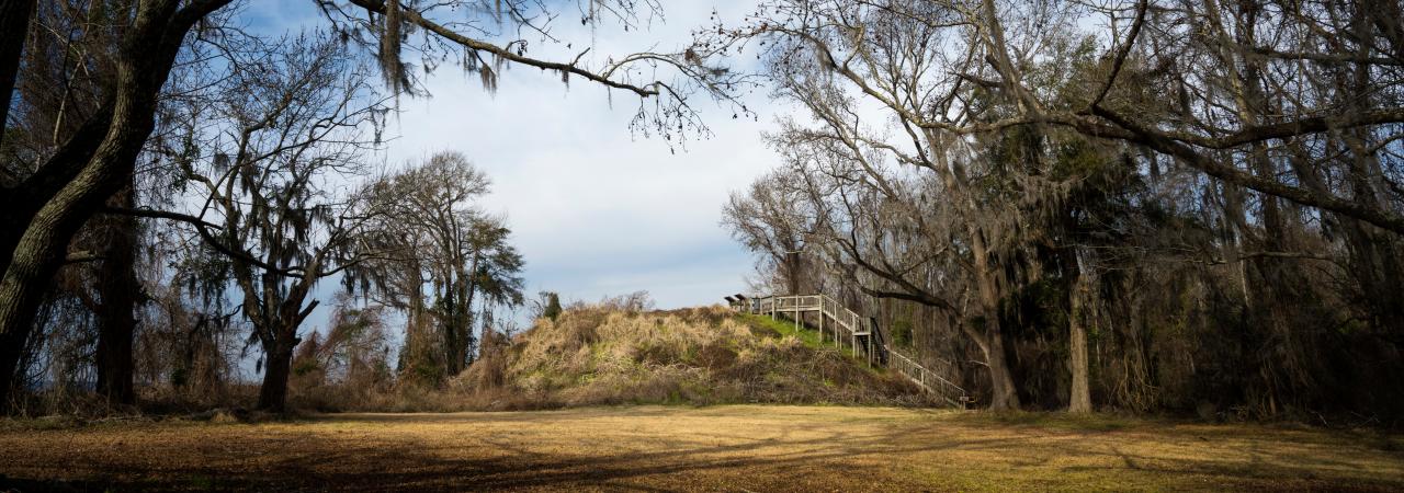 Photograph of the Native American burial mound that Fort Watson was built on top of. 