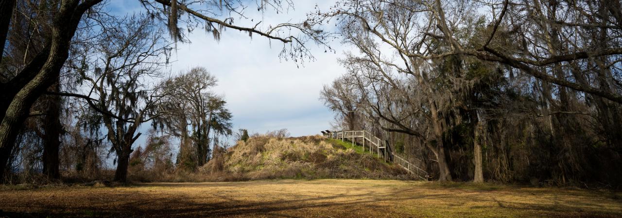 Photograph of the Native American burial mound that Fort Watson was built on top of.