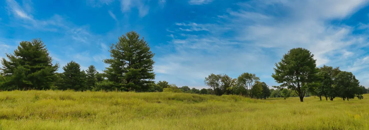 Franklin Battlefield, Tenn.