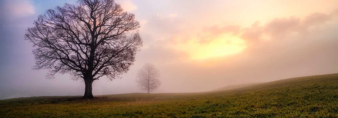 Fredericksburg Battlefield, Va