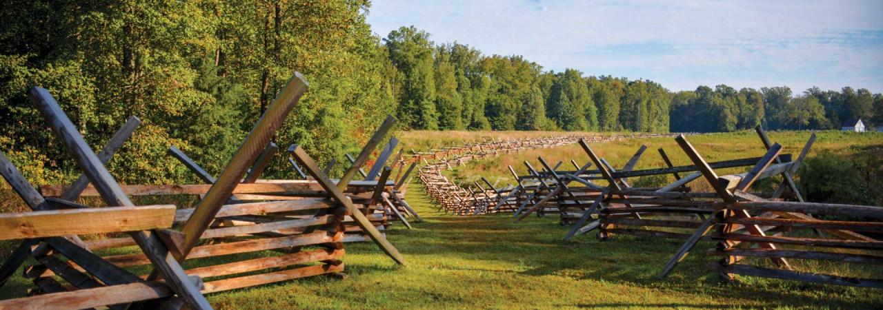 Gaines' Mill Battlefield, Mechanicsville, Va.