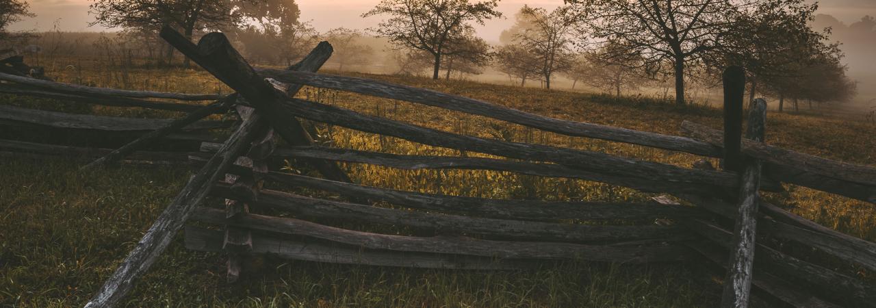 View from behind a snake rail fence with trees, mist and clouds