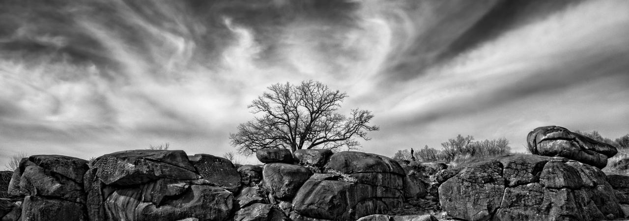 Black and white photo with layers of large boulders and a tree peeping up behind