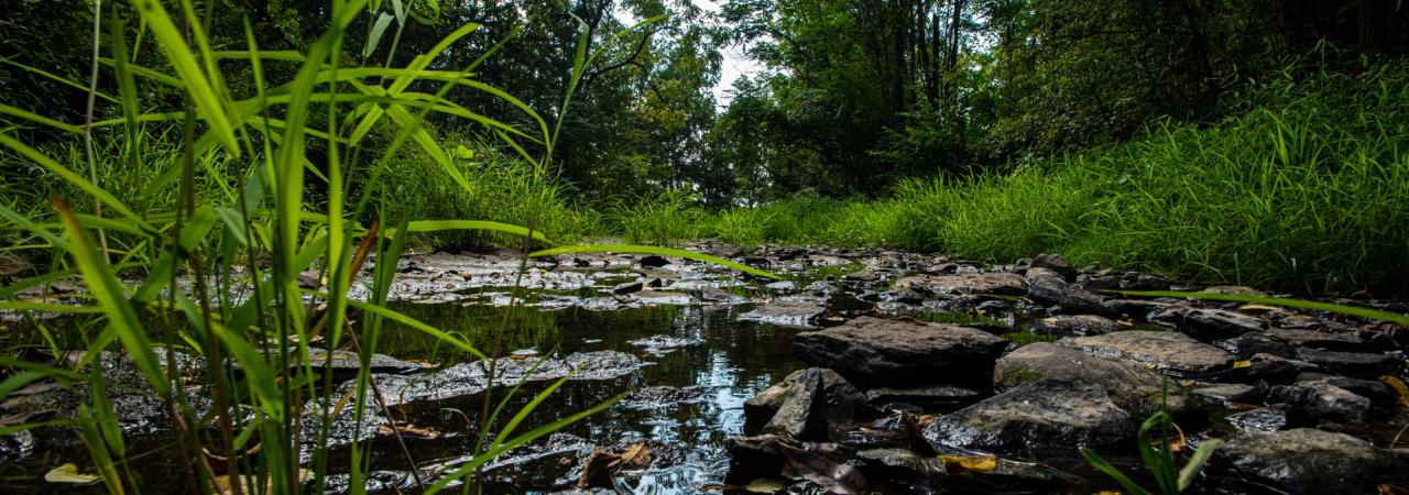 Willoughby's Run, Gettysburg, Pa.