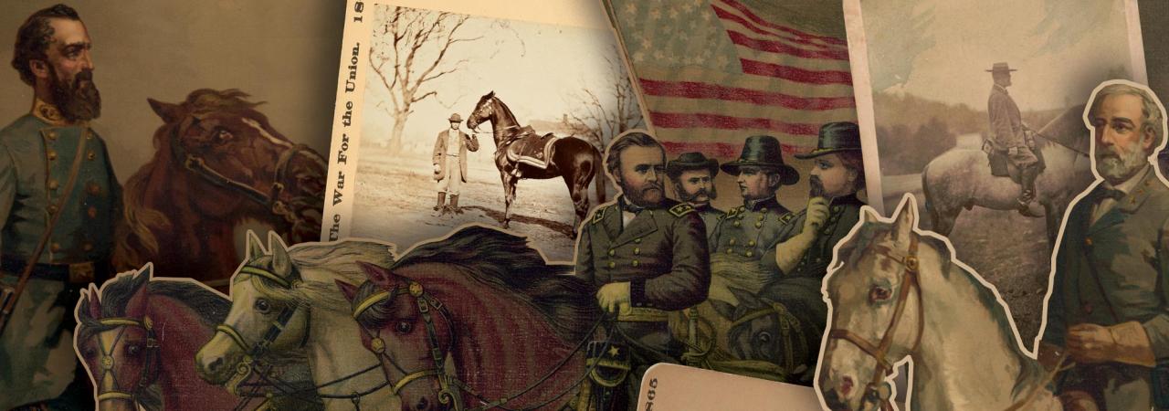 A collage of notable horses of the American Civil War