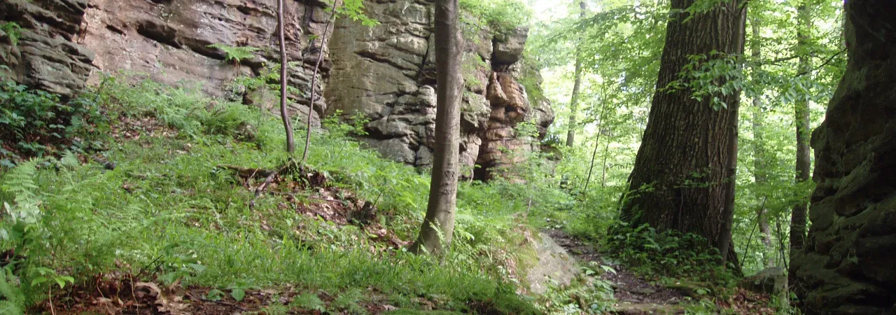 Jumonville Glen Unit - Fort Necessity National Battlefield