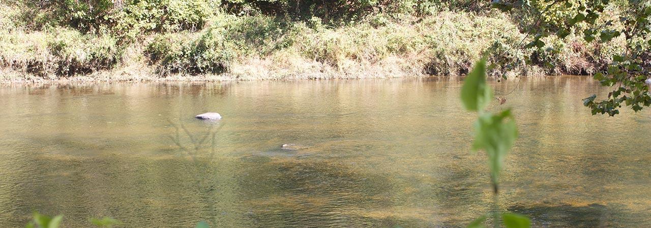 The Rappahannock River at Kelly's Ford Battlefield.