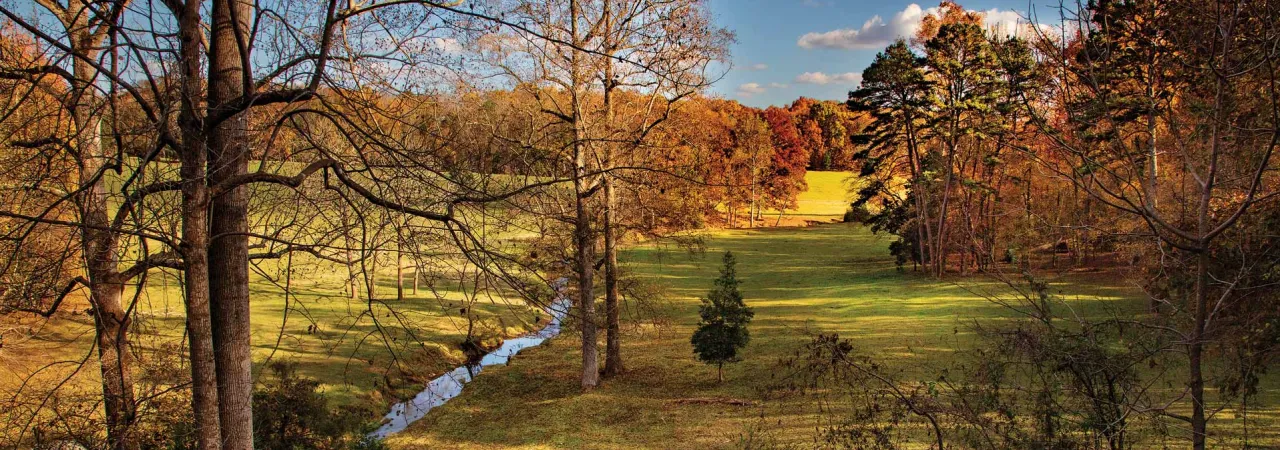 Fall foliage at Kings Mountain National Military Park