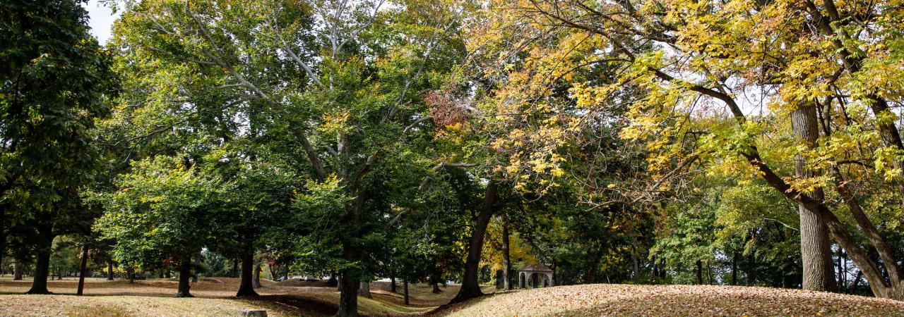 RED BANK: PARK WORK STARTS WITH MISHAP - Red Bank Green