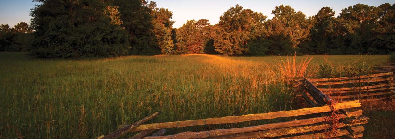 Mansfield Battlefield at sunset