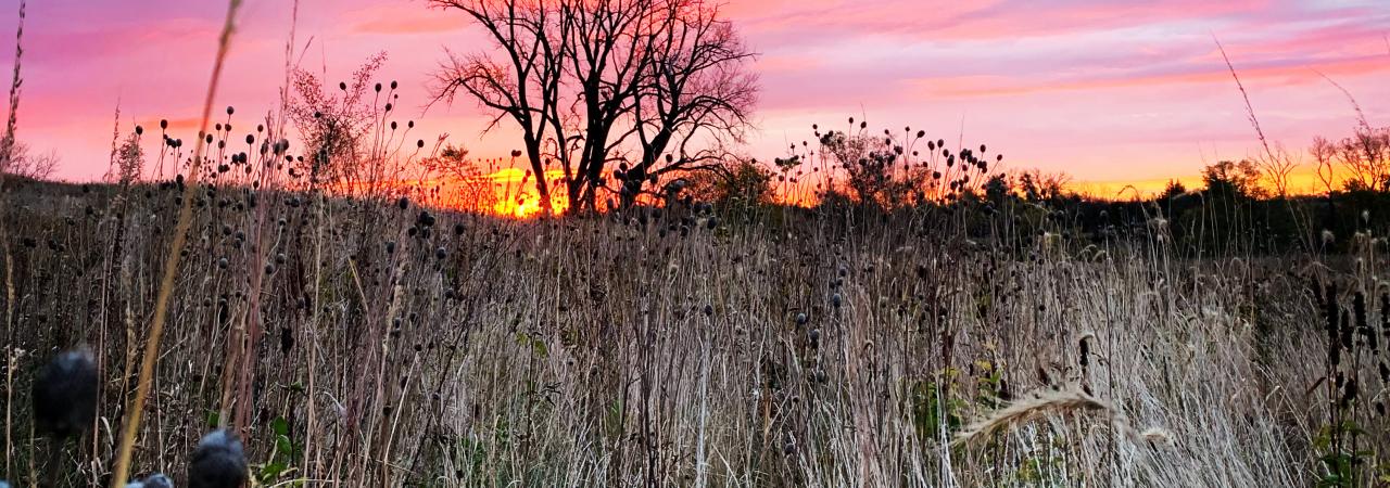 Wood Lake Battlefield