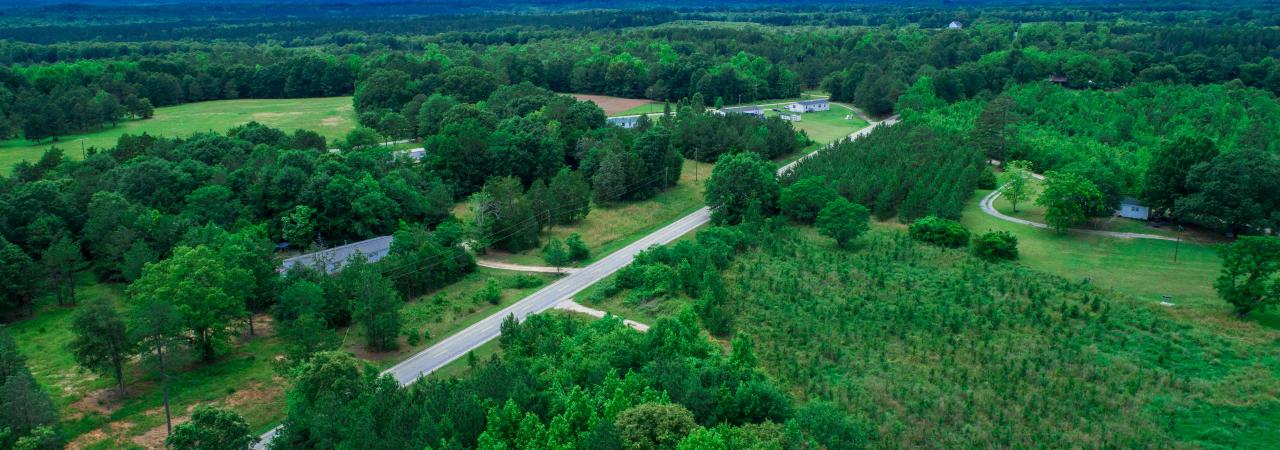 Aerial photograph of a battlefield with green trees and a blue sky. 