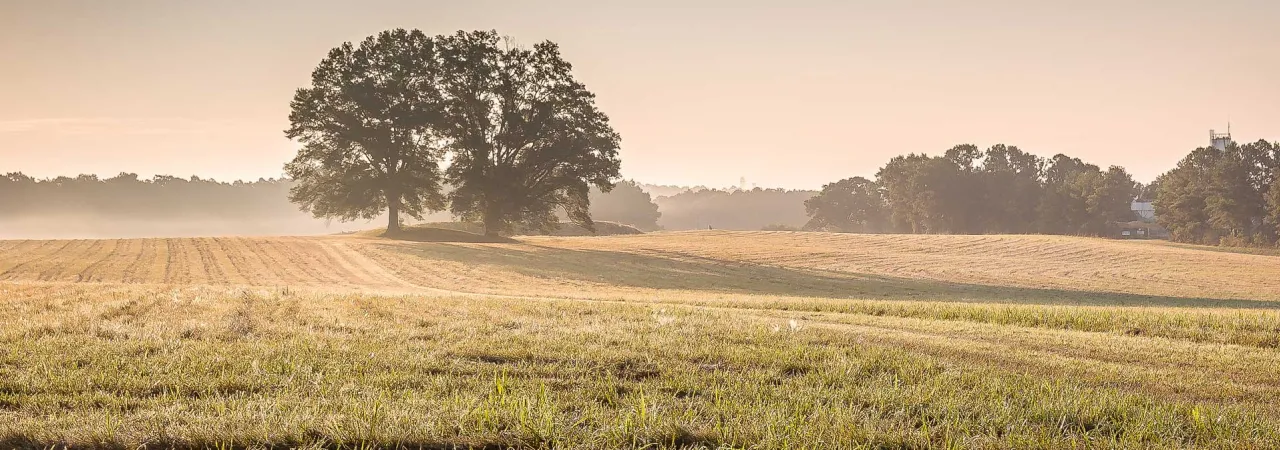 Petersburg Breakthrough Battlefield, Dinwiddie County, Va.
