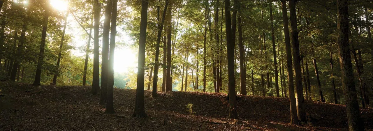 Petersburg Breakthrough Battlefield, Va.