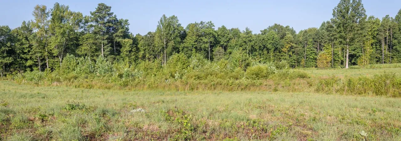 Petersburg National Battlefield, Va.