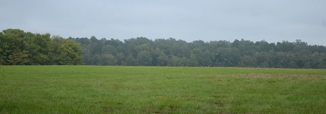 Prairie D'Ane Battlefield