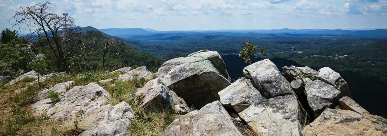 Rocky Face Ridge, Whitfield County, Ga.