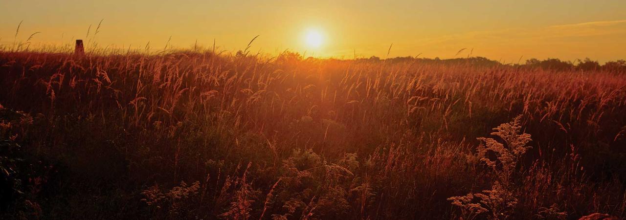 Sunrise at Manassas National Battlefield Park, Va.