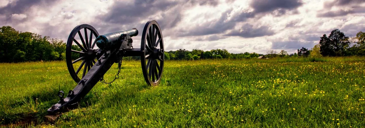 A cannon against a dramatic, cloudy sky. Yellow wildflowers bloom in the grass.