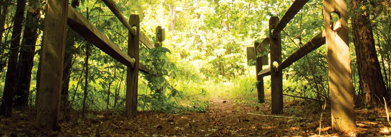 White Oak Road, Dinwiddie County, Va. 